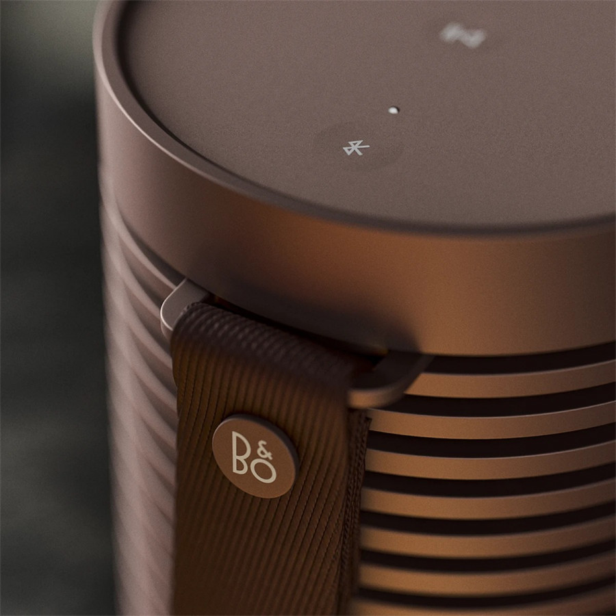 Портативная акустика BANG u0026 OLUFSEN Beosound Explore Chestnut купить в  интернет-магазине Hotra.ru